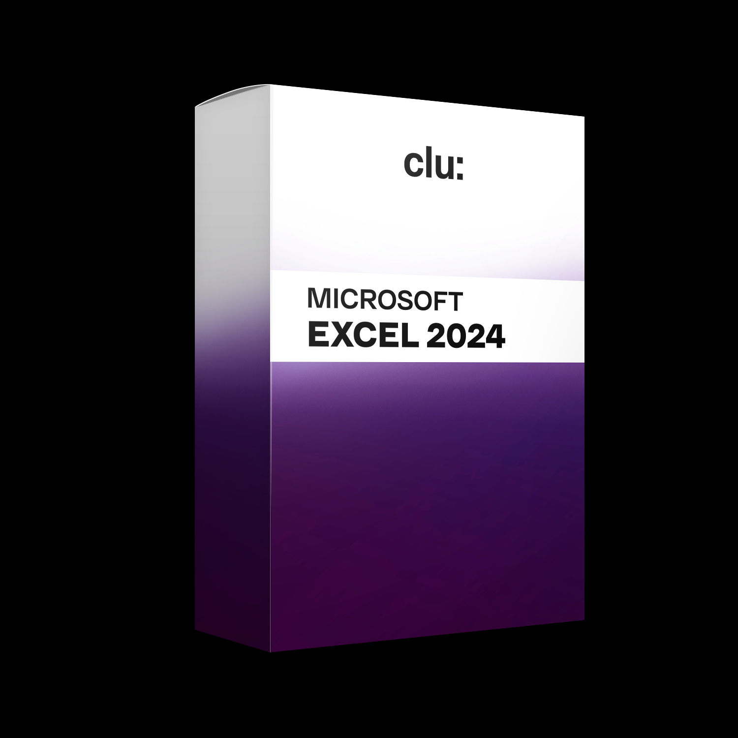 Microsoft Excel 2024 (9843324453149)