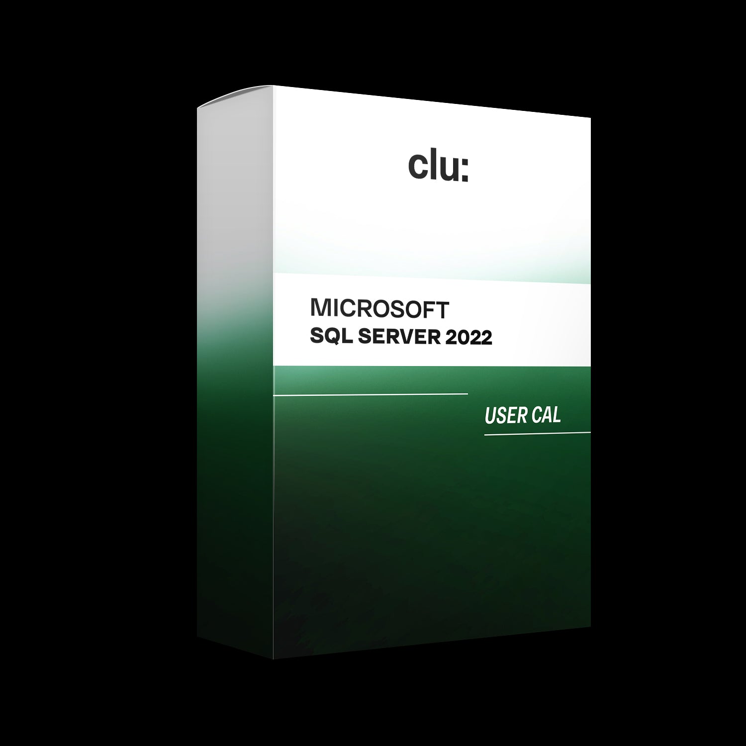 Microsoft SQL Server User CAL 2022 (9843325894941)