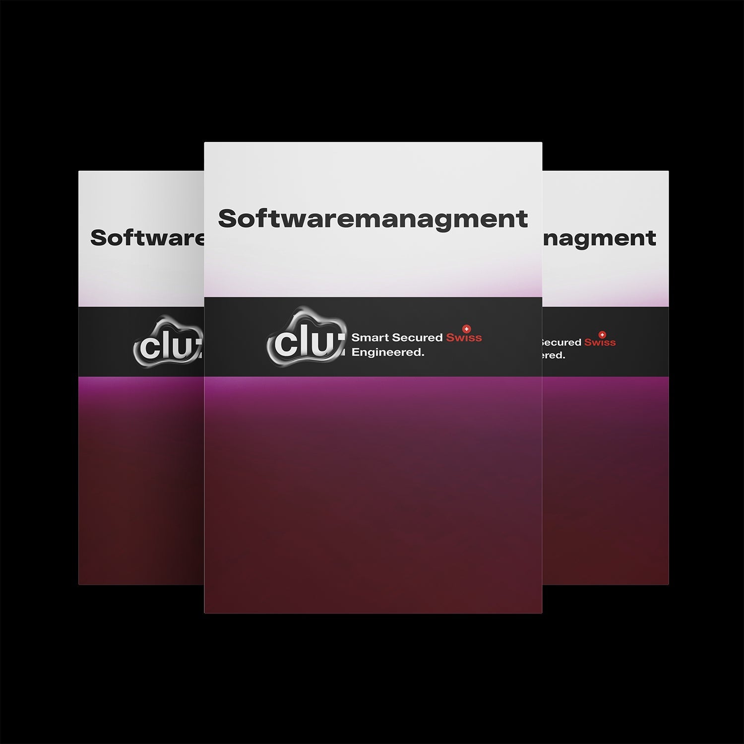 Softwaremanagement
